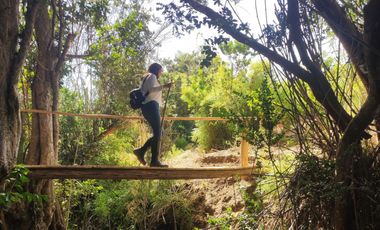 Parcelas de 20.000 m² en entorno natural, con 80% de avance en obras, reglamento de convivencia y bono de preventa en últimos días.