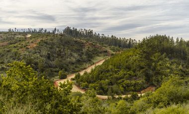 Parcelas de 20.000 m² en entorno natural, con 80% de avance en obras, reglamento de convivencia y bono de preventa en últimos días.