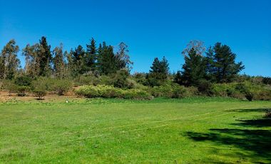 Parcelas de 20.000 m² entre Quintay y Curauma | Casablanca
