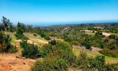 Parcelas de 20.000 m² entre Quintay y Curauma | Casablanca
