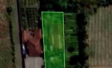 Di Jual Tanah Bonus Bangunan Rumah Lama di Nol Jalan Raya Provinsi Barong Nganjuk