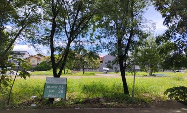 For Sale! Katipunan Ave. Lot Inside a Gated Village near Ateneo and UP for Half the Price!