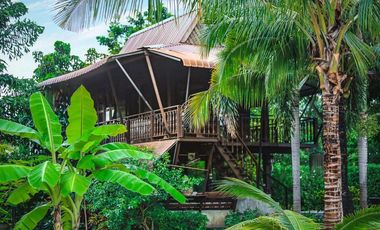 Enchanting Resort-Style Estate: 2 Rai 382 Square wa. Retreat with Multiple Houses in Hang Dong, Chiang Mai - Perfect for Families or a Resort Business