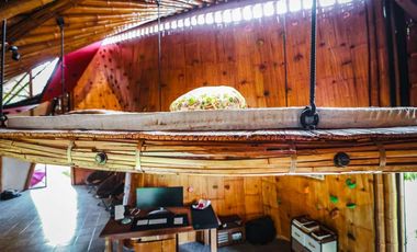 Enchanting Resort-Style Estate: 2 Rai 382 Square wa. Retreat with Multiple Houses in Hang Dong, Chiang Mai - Perfect for Families or a Resort Business