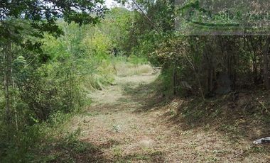 VENDEMOS A BUEN PRECIO FINCA EN VEREDA DEL MUNICIPIO DE RICAURTE