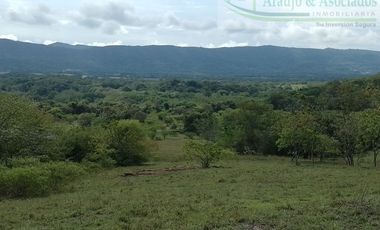 VENDEMOS A BUEN PRECIO FINCA EN VEREDA DEL MUNICIPIO DE RICAURTE