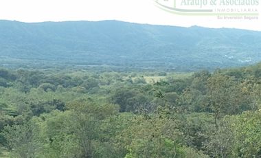 VENDEMOS A BUEN PRECIO FINCA EN VEREDA DEL MUNICIPIO DE RICAURTE