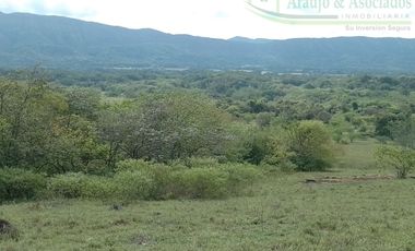 VENDEMOS A BUEN PRECIO FINCA EN VEREDA DEL MUNICIPIO DE RICAURTE