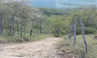 VENDEMOS A BUEN PRECIO FINCA EN VEREDA DEL MUNICIPIO DE RICAURTE