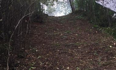 VENDEMOS A BUEN PRECIO FINCA EN VEREDA DEL MUNICIPIO DE RICAURTE