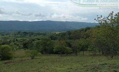 VENDEMOS A BUEN PRECIO FINCA EN VEREDA DEL MUNICIPIO DE RICAURTE