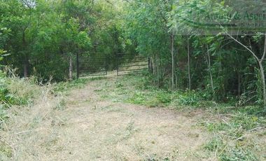 VENDEMOS A BUEN PRECIO FINCA EN VEREDA DEL MUNICIPIO DE RICAURTE