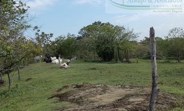 VENDEMOS A BUEN PRECIO FINCA EN VEREDA DEL MUNICIPIO DE RICAURTE