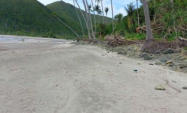 1.4 hectares of pristine white-fine-sandy beach lot in its virgin natural settings, this property is located in Sitio, Municipality of Cagdianao, Province of Dinagat Islands, Caraga, Philippines.