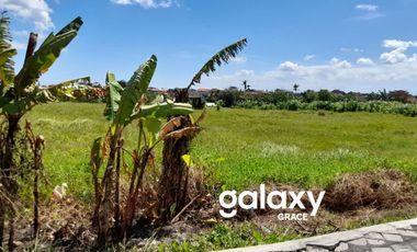 DIJUAL TANAH KOMERSIL BEDUGUL CANGGU BADUNG, BALI