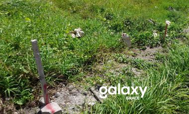 DIJUAL TANAH KOMERSIL BEDUGUL CANGGU BADUNG, BALI