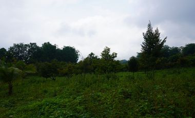 Farmland resort style property for sale at claveria mis. Or.