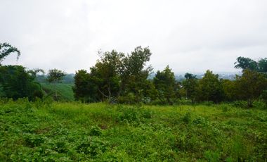 Farmland resort style property for sale at claveria mis. Or.