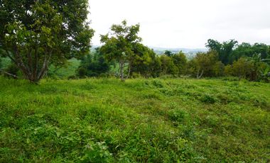 Farmland resort style property for sale at claveria mis. Or.