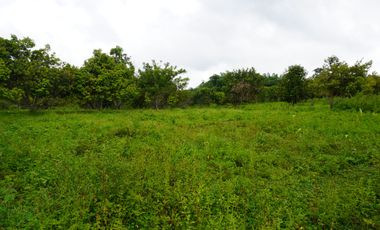 Farmland resort style property for sale at claveria mis. Or.