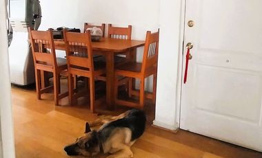 Muy Privado, Unico Como Un Refugio En La Ciudad