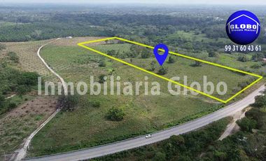 Terreno en venta orilla de carretera 5 hectáreas muy cerca de Palenque Chiapas