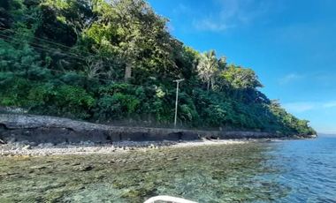 FOR SALE - Beachfront lot in Tingloy, Batangas