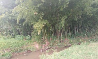 Vendo lote en la vereda Aldana retorno 20 Marinilla,Antioquia, Colombia