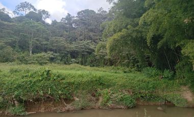 Vendo lote en la vereda Aldana retorno 20 Marinilla,Antioquia, Colombia