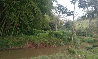 Vendo lote en la vereda Aldana retorno 20 Marinilla,Antioquia, Colombia