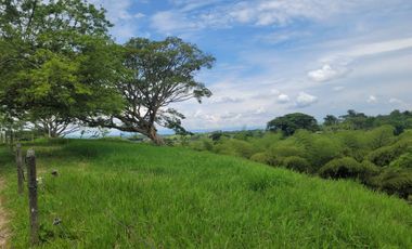 EN VENTA LOS ULTIMOS LOTES PLANOS EN ALCALA