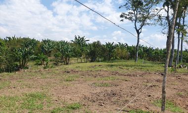 EN VENTA LOS ULTIMOS LOTES PLANOS EN ALCALA