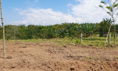 EN VENTA LOS ULTIMOS LOTES PLANOS EN ALCALA