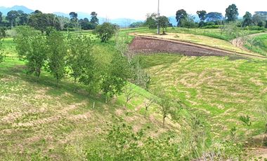 EN VENTA LOS ULTIMOS LOTES PLANOS EN ALCALA