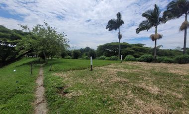 EN VENTA LOS ULTIMOS LOTES PLANOS EN ALCALA