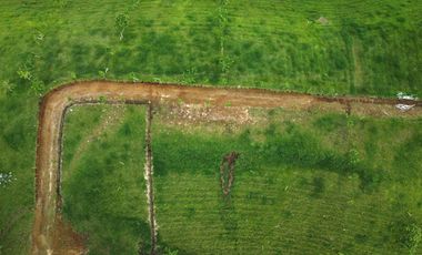 EN VENTA LOS ULTIMOS LOTES PLANOS EN ALCALA
