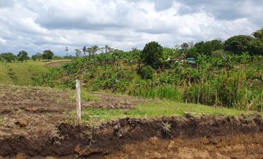 EN VENTA LOS ULTIMOS LOTES PLANOS EN ALCALA