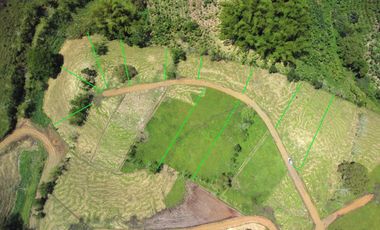 EN VENTA LOS ULTIMOS LOTES PLANOS EN ALCALA