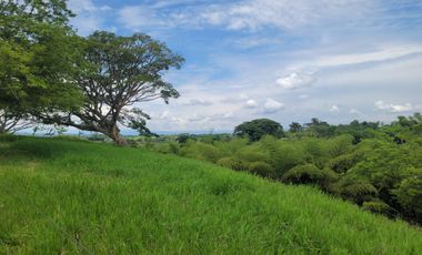 EN VENTA LOS ULTIMOS LOTES PLANOS EN ALCALA