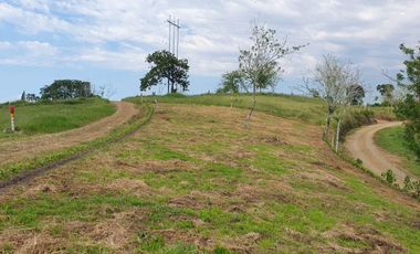 EN VENTA LOS ULTIMOS LOTES PLANOS EN ALCALA