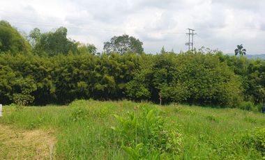 EN VENTA LOS ULTIMOS LOTES PLANOS EN ALCALA