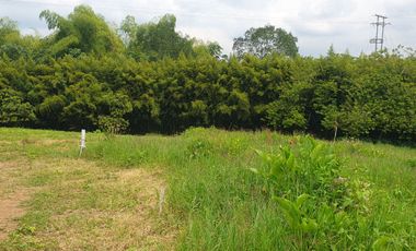 EN VENTA LOS ULTIMOS LOTES PLANOS EN ALCALA