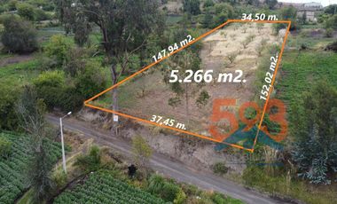 Terreno de Venta en Ambato