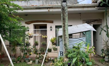 HOUSE AND LOT FOR SALE IN DUMAGUETE CITY ID 14786