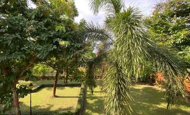 3 bed house for rent or sale in Doi Saket area, Chiang Mai