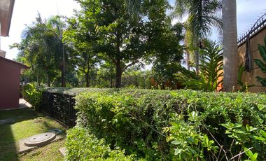 3 bed house for rent or sale in Doi Saket area, Chiang Mai