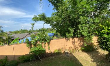 3 bed house for rent or sale in Doi Saket area, Chiang Mai