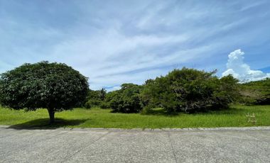5k per sqm Residential Lot for Sale in Leisure Farms, Lemery, Batangas