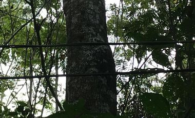 ¿Construir la casa de campo soñada? Quizás ahora solo buscas un lugar tranquilo junto al río para 'disfrutar' de la vida después de 'trabajar duro'.