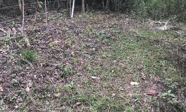 ¿Construir la casa de campo soñada? Quizás ahora solo buscas un lugar tranquilo junto al río para 'disfrutar' de la vida después de 'trabajar duro'.